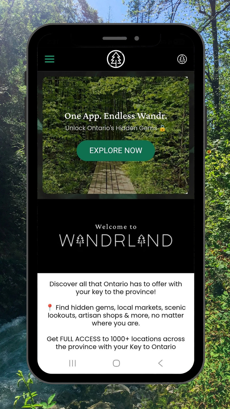 Phone displaying the Wanderland app interface with a forest background